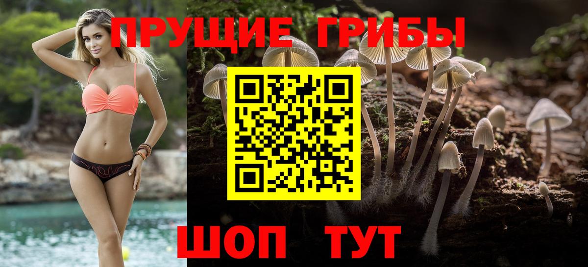 Галлюциногенные грибы мухоморы Ульяновск