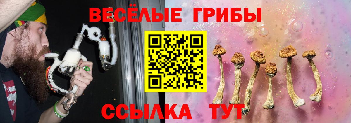 Ульяновск  Галлюциногенные грибы ЛСД  Вход с VPN 